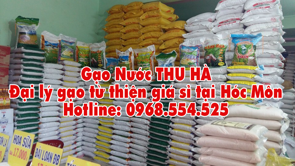 đại lý gạo từ thiện tại hóc môn